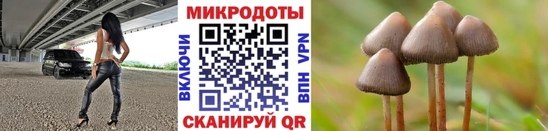 Галлюциногенные грибы Psilocybine cubensis  Нестеров 